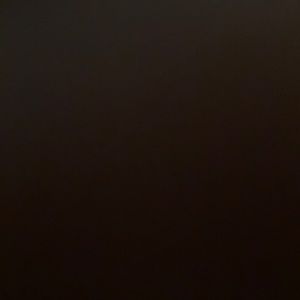 Meet your Posher, Alahna